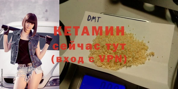 прущие грибы Дмитровск
