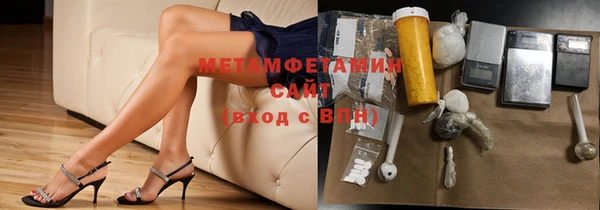 прущие грибы Дмитровск