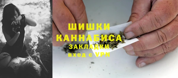 прущие грибы Дмитровск