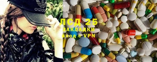 прущие грибы Дмитровск