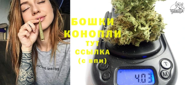 прущие грибы Дмитровск