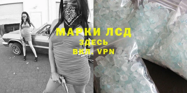 прущие грибы Дмитровск