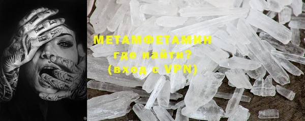 прущие грибы Дмитровск