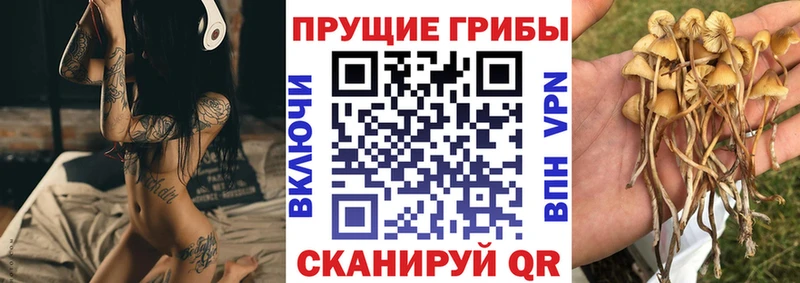 Галлюциногенные грибы Psilocybe закладка MEGA вход Ялуторовск