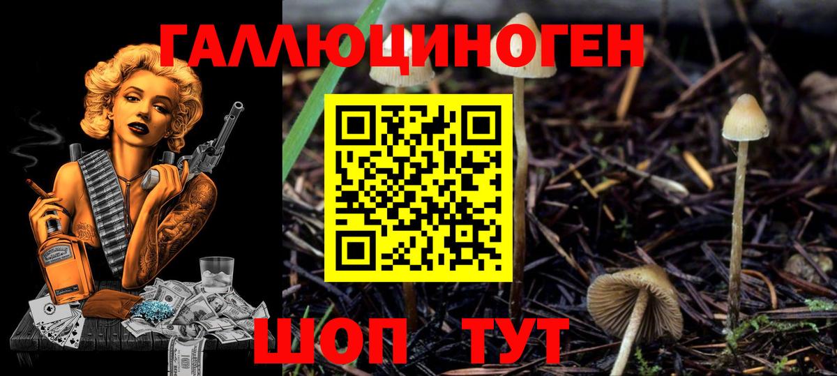 Галлюциногенные грибы Magic Shrooms Ялуторовск